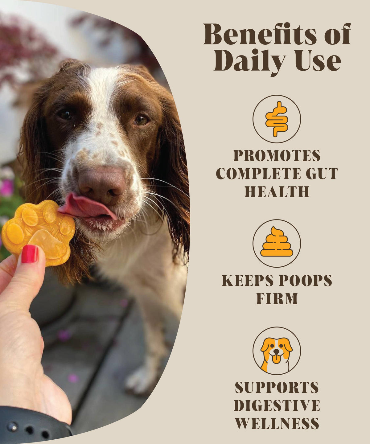 Pumpkin Prebiotic & Probiotic Powder for Dogs