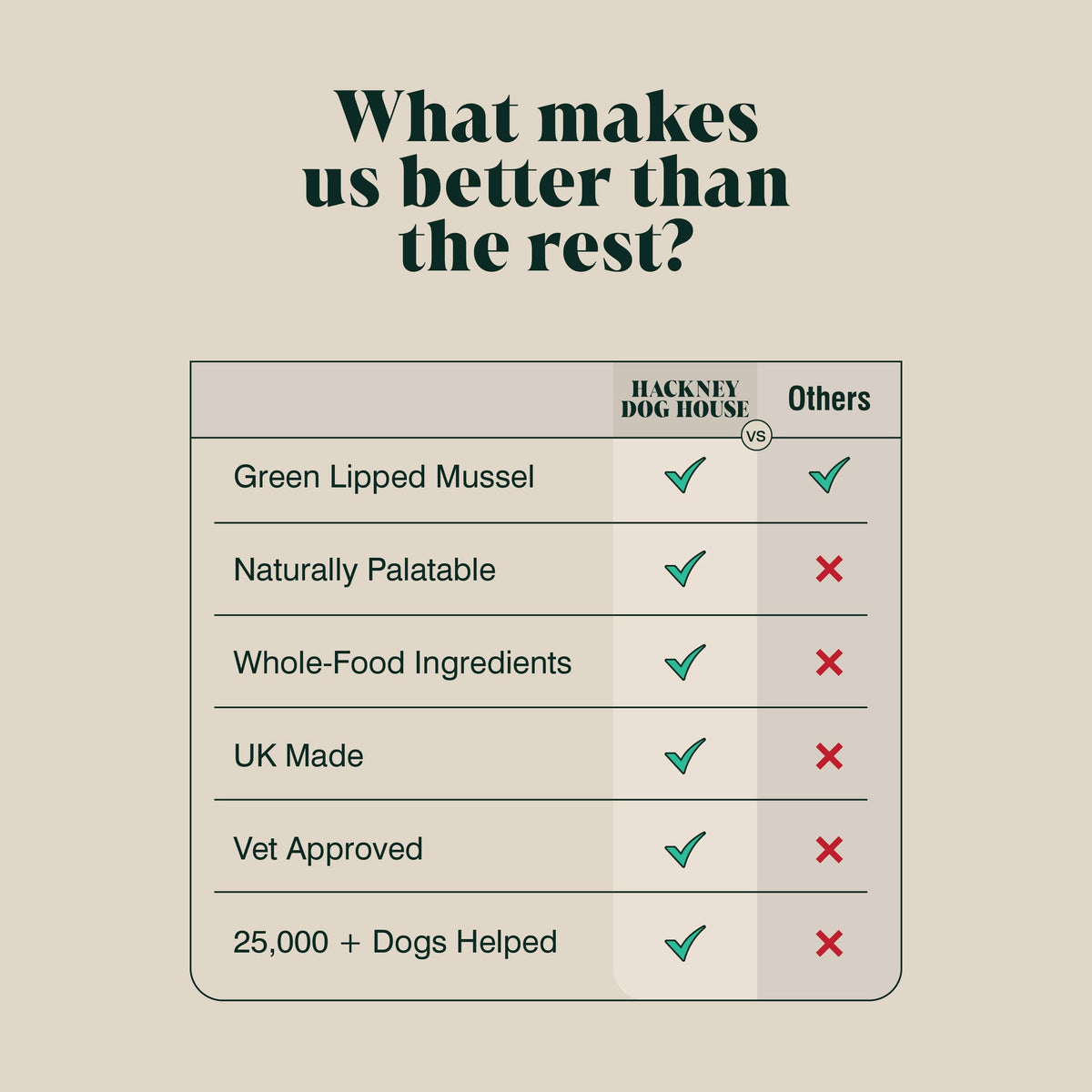 Green-Lipped Mussel Powder for Dogs | 80 Servings