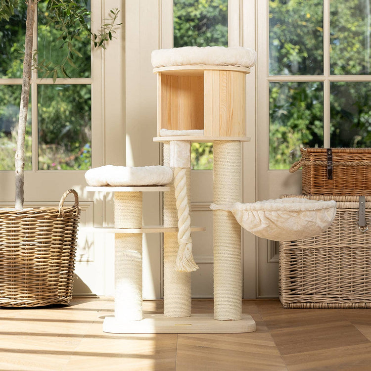 Cat Scratching Posts
