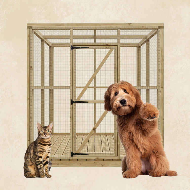 Custom outdoor pet enclosure designed to provide a safe, secure and enriching space for pets to explore and relax outdoors.