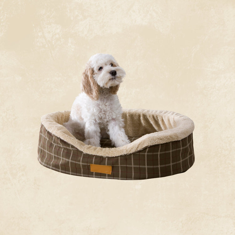 Pet Beds