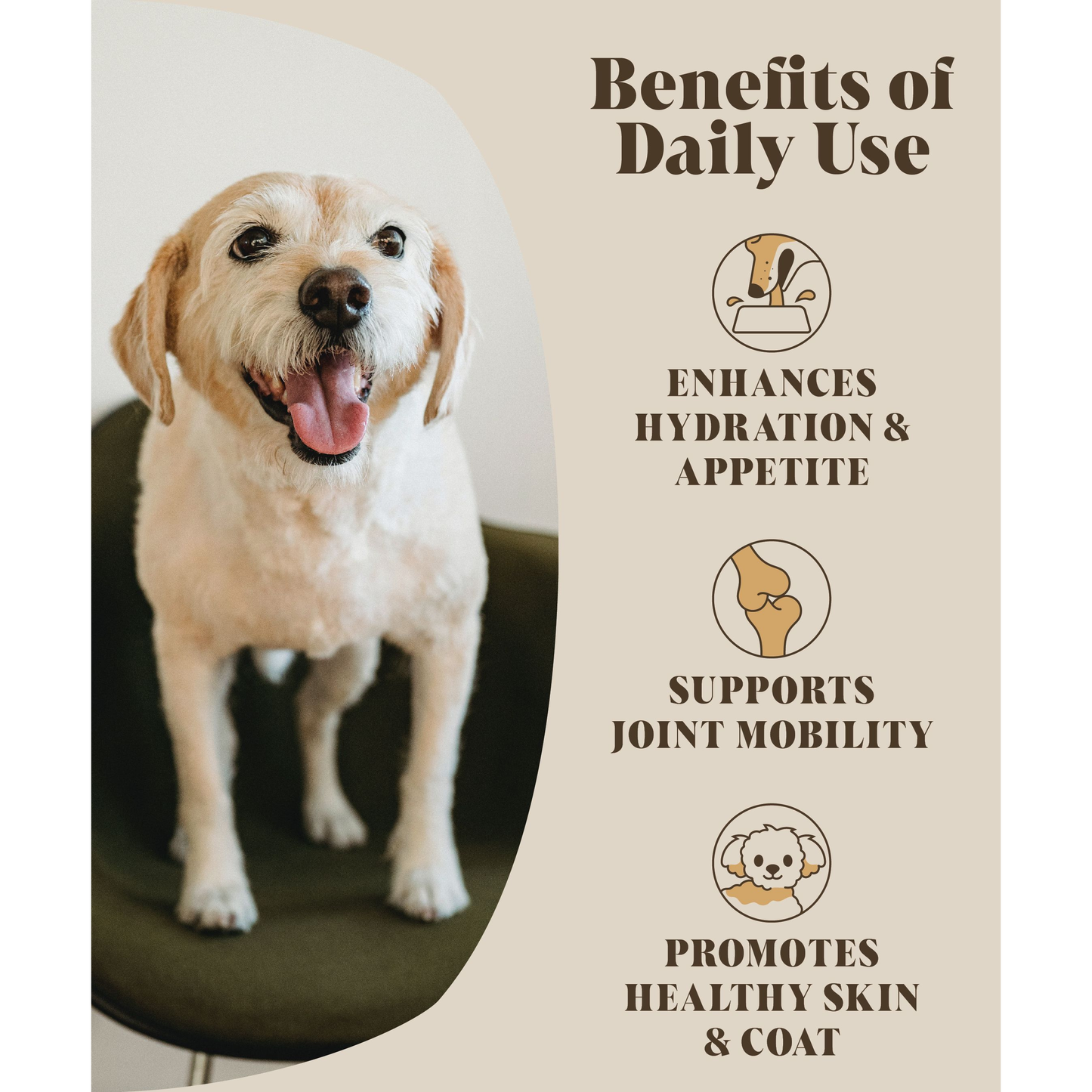 Chicken Bone Broth for Dogs | Dog Gravy Food Topper