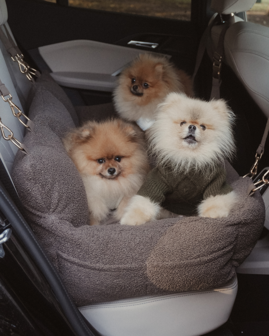 The XL Cosy Car Seat
