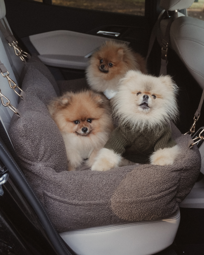 The XL Cosy Car Seat