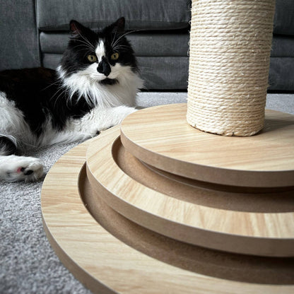 Enrichment Cat Scratcher with Toy