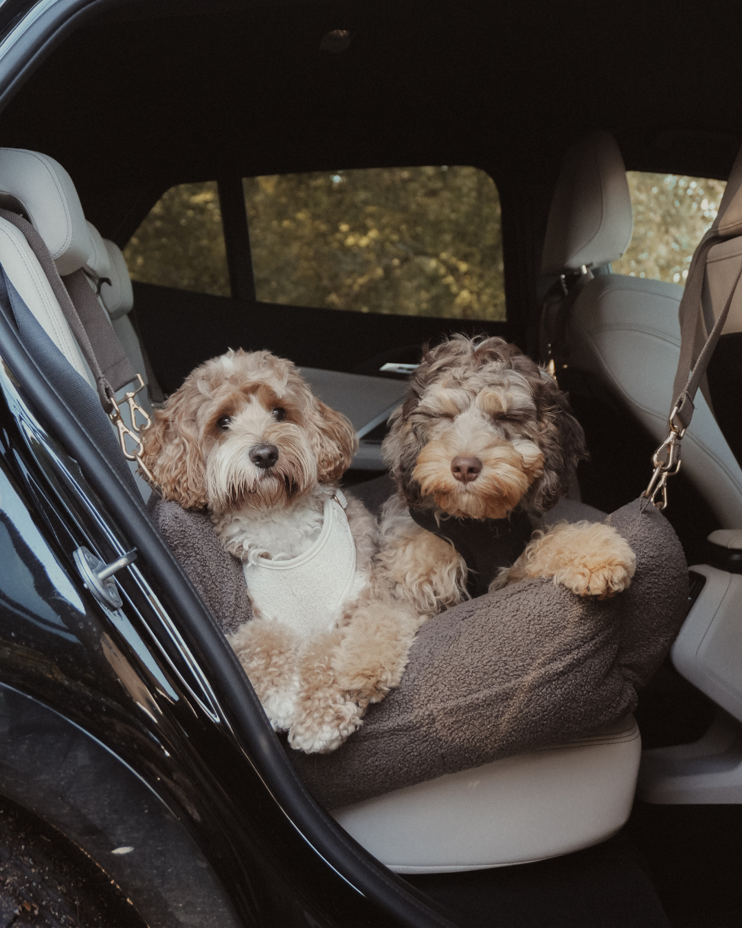 The XL Cosy Car Seat