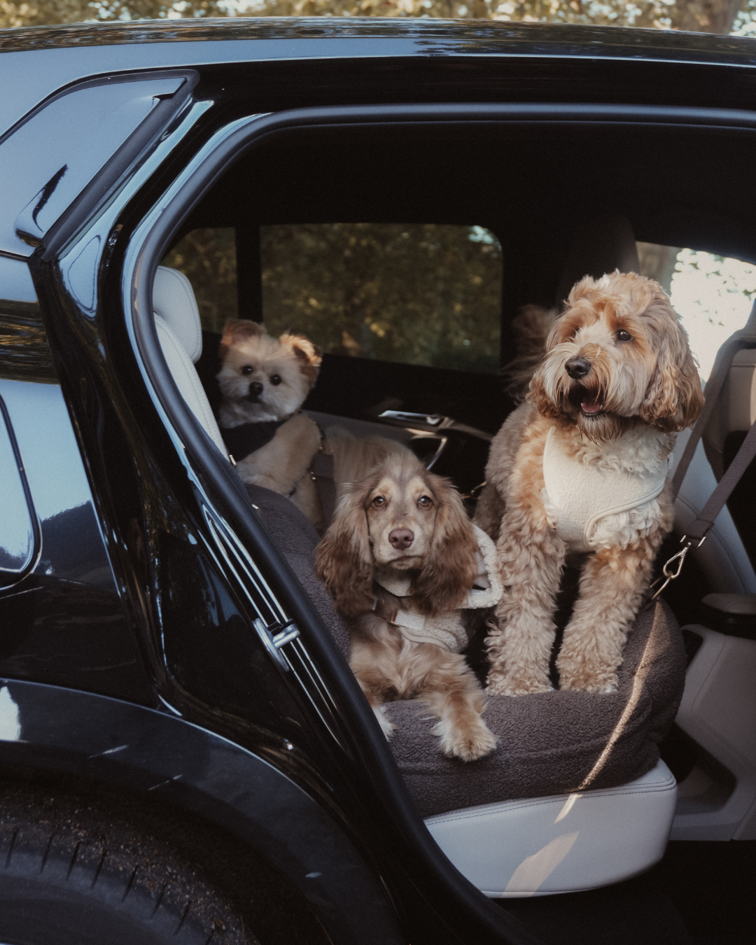 The XL Cosy Car Seat