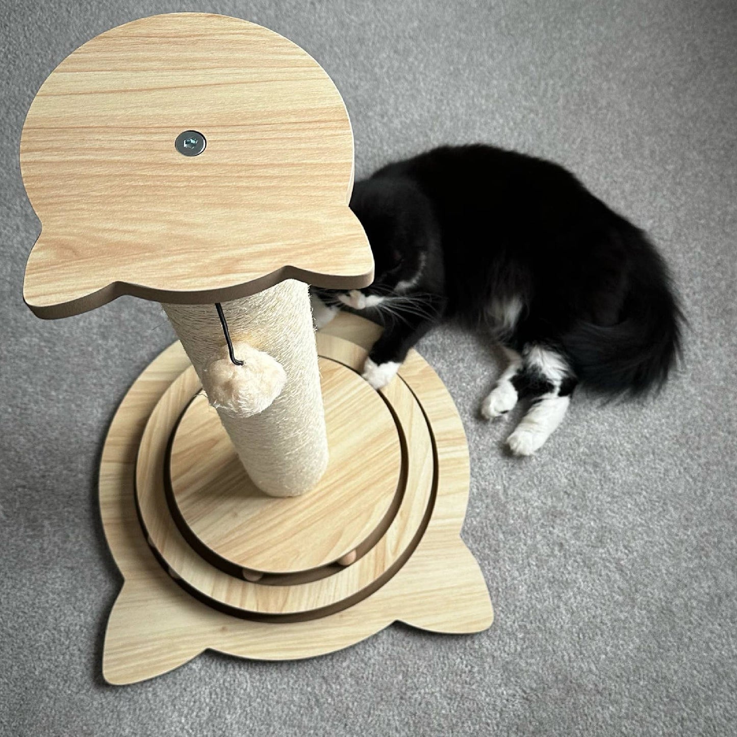 Enrichment Cat Scratcher with Toy