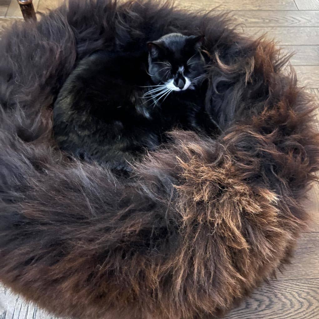 British Sheepskin Round Pet Bed for Cats & Dogs: Brown Undyed / 50cm Diameter