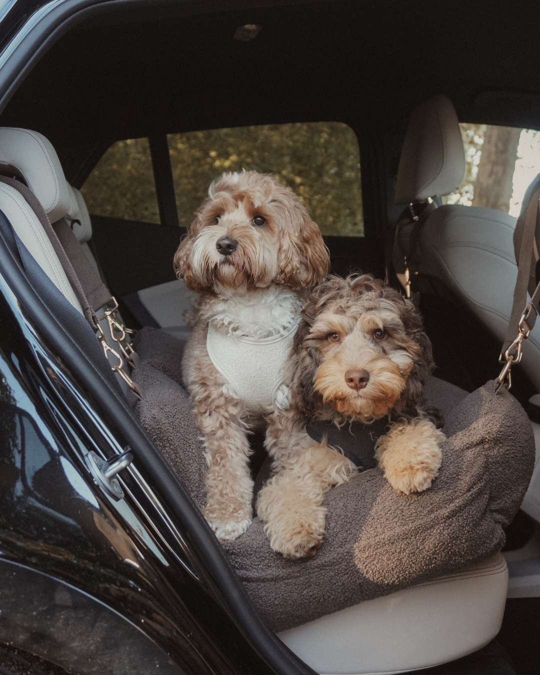The XL Cosy Car Seat