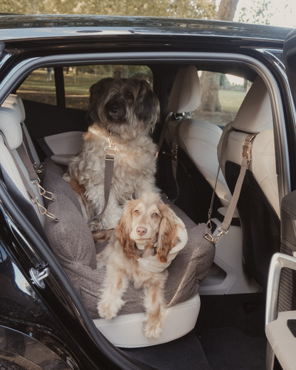 The XL Cosy Car Seat