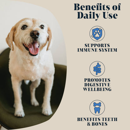 Goats Milk Powder for Dogs | Makes Twelve Pints