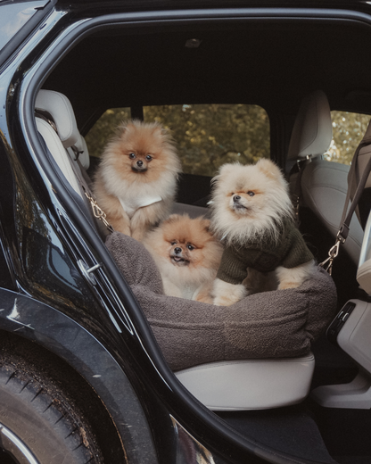 The XL Cosy Car Seat