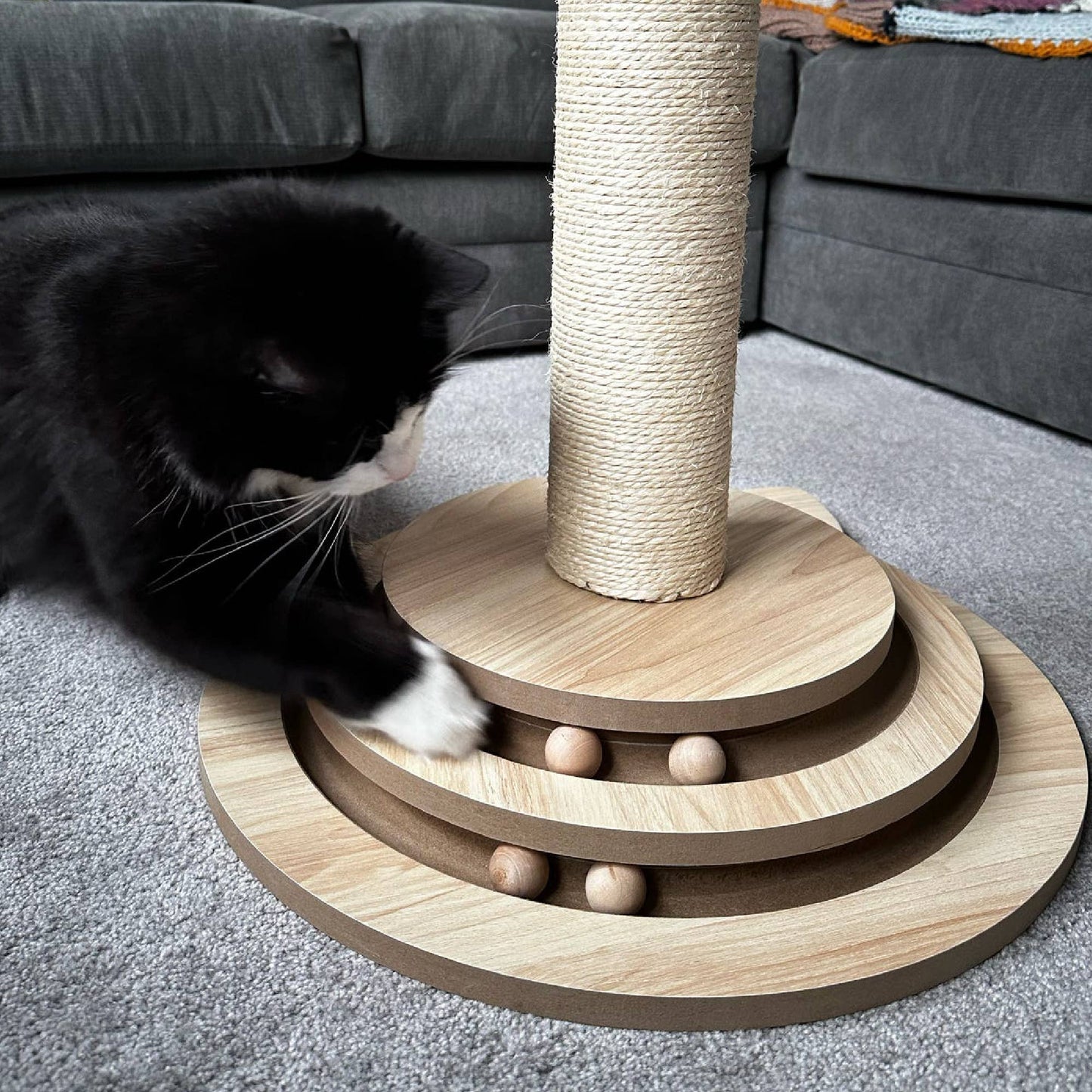 Enrichment Cat Scratcher with Toy